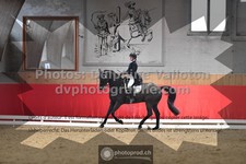 ref. photo 3503806