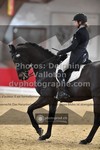 ref. photo 3503812
