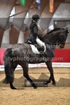ref. photo 3503816