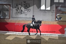 ref. photo 3503826