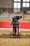 ref. photo 3503830