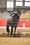 ref. photo 3503833