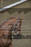 ref. photo 3503842