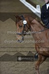ref. photo 3503844
