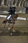 ref. photo 3503851