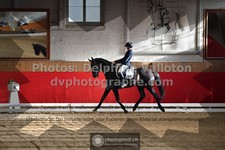 ref. photo 3503920