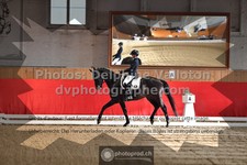 ref. photo 3503921