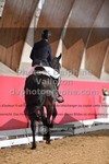 ref. photo 3503935