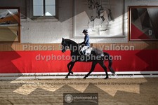 ref. photo 3503943