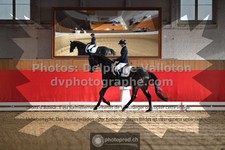 ref. photo 3503944