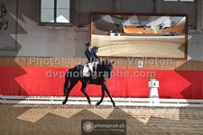 ref. photo 3503951