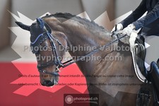 ref. photo 3503984