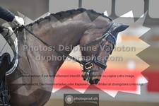 ref. photo 3503985