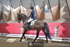 ref. photo 3503992