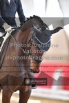 ref. photo 3504002