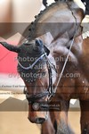 ref. photo 3504005