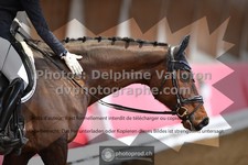 ref. photo 3504006