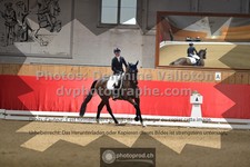 ref. photo 3504012