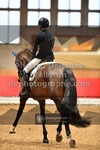 ref. photo 3504021