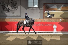 ref. photo 3504023
