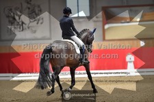 ref. photo 3504027