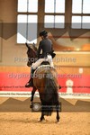 ref. photo 3504040