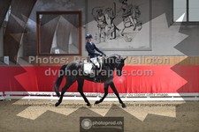 ref. photo 3504064