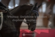 ref. photo 3504068