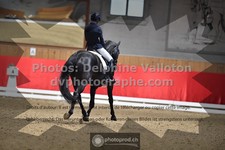 ref. photo 3504074