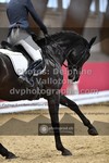 ref. photo 3504077
