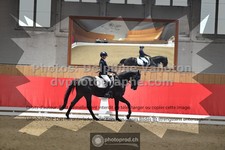 ref. photo 3504079