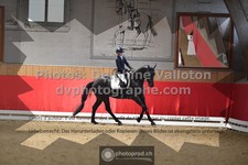 ref. photo 3504080