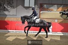ref. photo 3504082