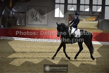 ref. photo 3504100