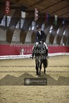 ref. photo 3504103