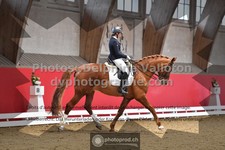 ref. photo 3504112
