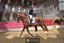 ref. photo 3504115