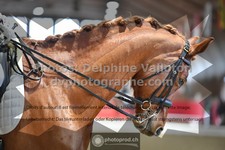 ref. photo 3504116