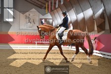 ref. photo 3504120