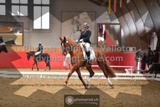ref. photo 3504125