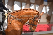 ref. photo 3504128