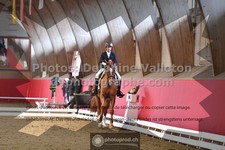 ref. photo 3504132