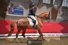 ref. photo 3504135