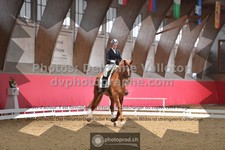 ref. photo 3504137