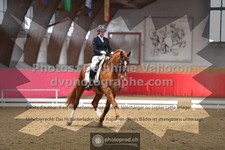 ref. photo 3504138