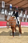 ref. photo 3504145