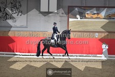 ref. photo 3504149