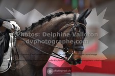 ref. photo 3504163