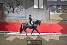 ref. photo 3504164