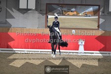 ref. photo 3504165